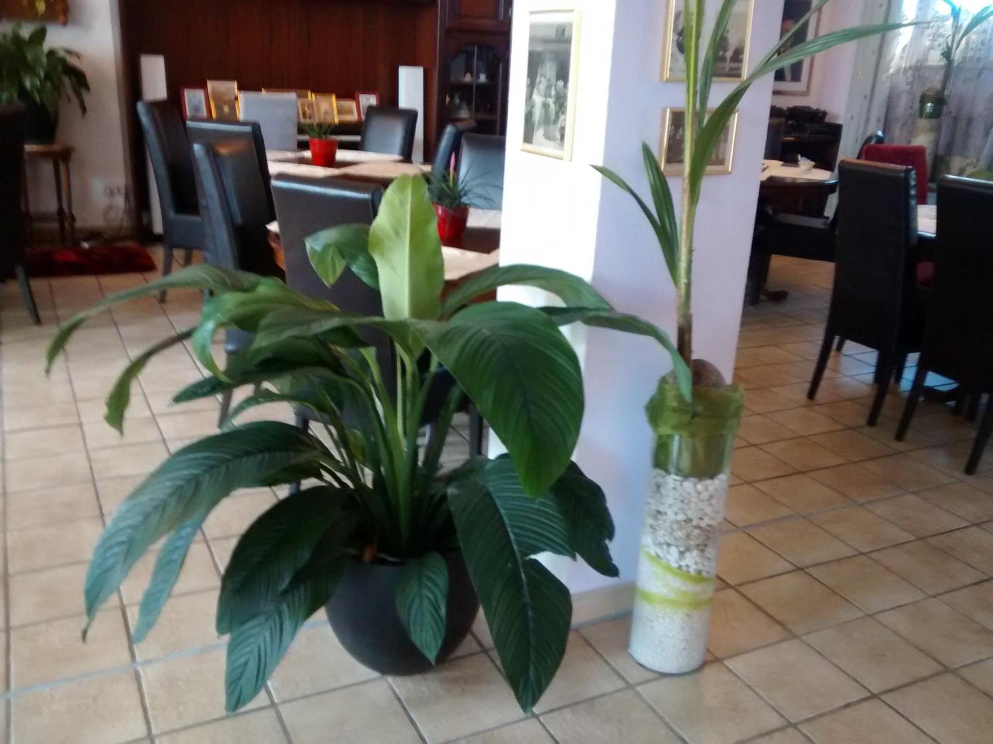 Hotel Attache Raunheim Εξωτερικό φωτογραφία