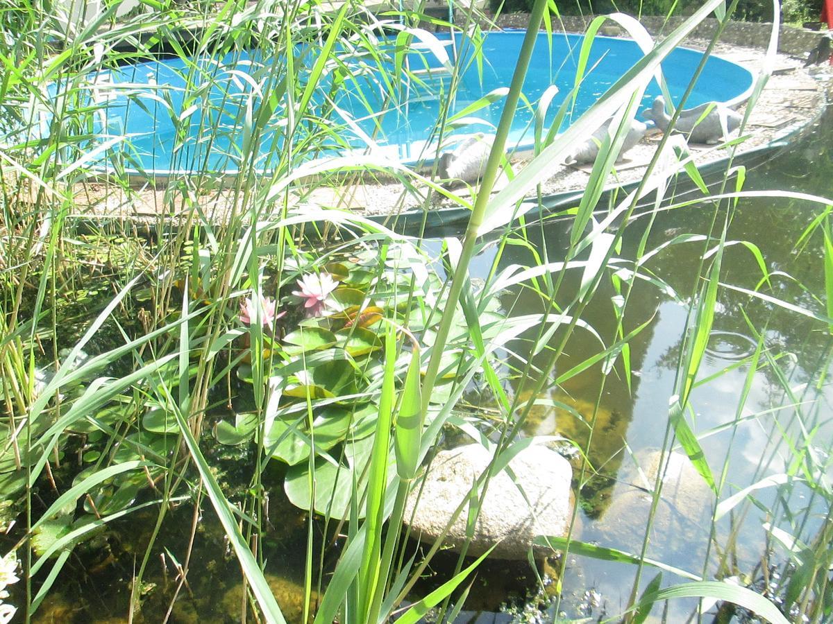 Hotel Attache Raunheim Εξωτερικό φωτογραφία